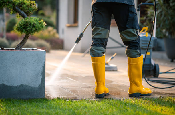 Best Pressure Washing Patio  in Fobes Hill, WA